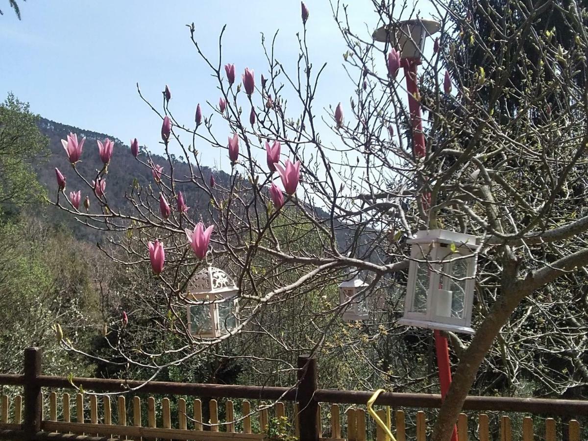 B&B La Capanna Rossa San Romolo Exterior foto